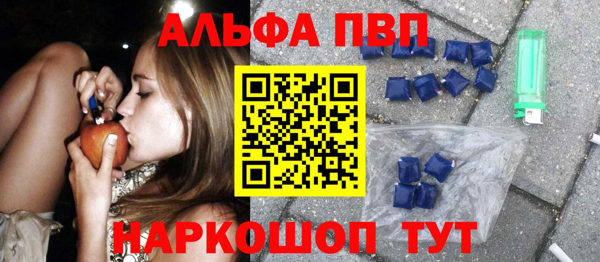 Альфа ПВП СК Ставрополь