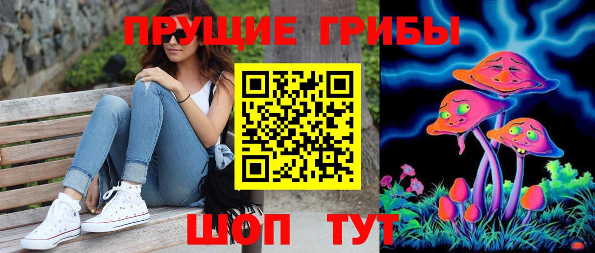 Псилоцибиновые грибы мухоморы Ставрополь